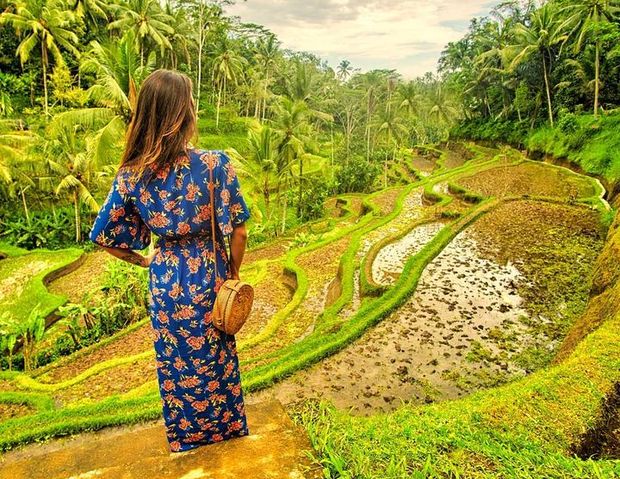 Tegalalang Rice Terrace