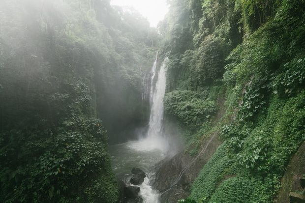 Lose yourselves in Munduk jungle.