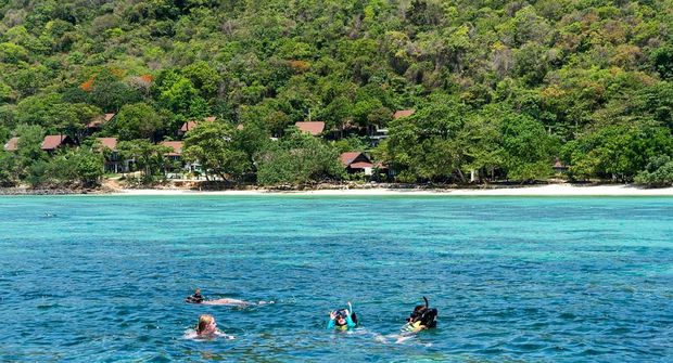 People snorkelling