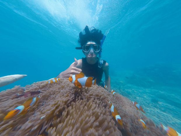 Snorkelling is fantastic on the Phi Phi Islands.