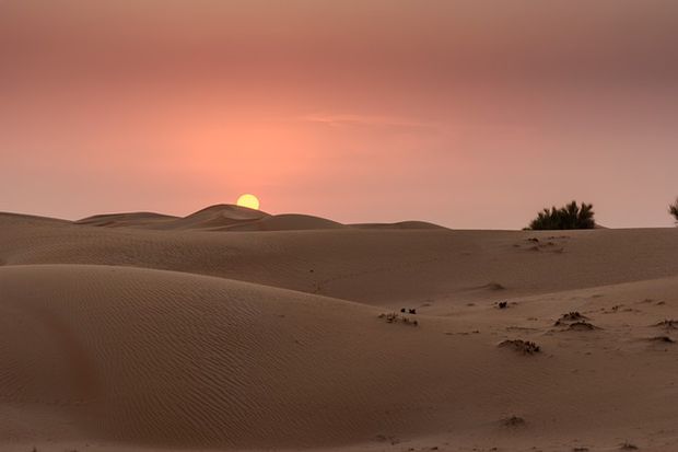 Sunrise over the desert