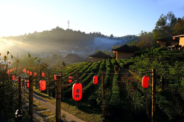 Chiang Mai, an absolute beauty.