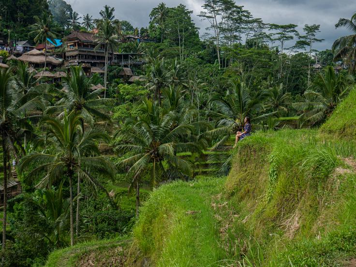 Shot of a girl sitting in the grass in a rice field in Bali