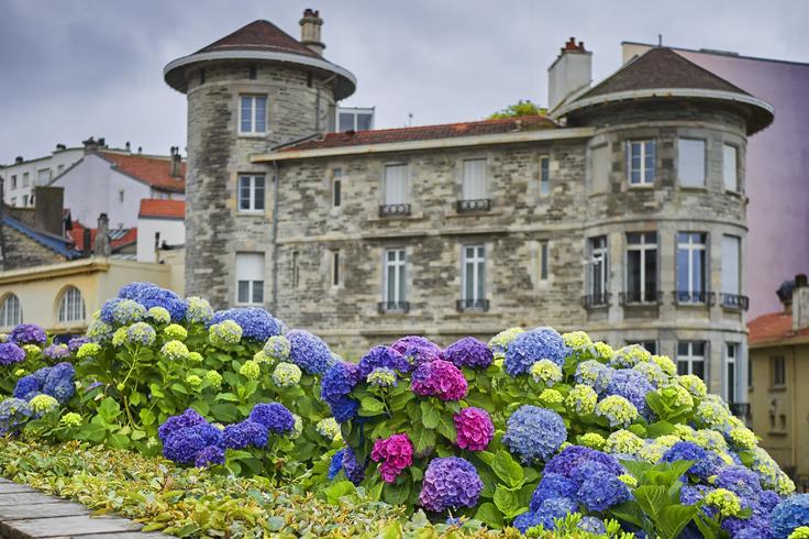 Amazing colonial villa slurrounded by red and pin flowers in full bloom