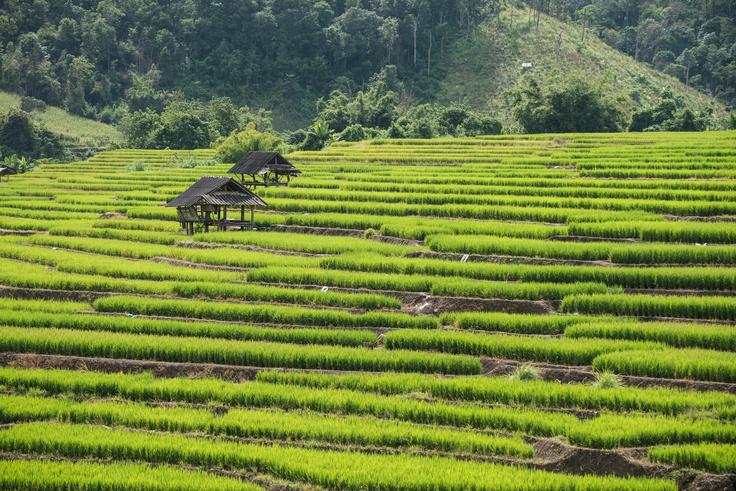 Shot of the outskirts of Chiang Mai