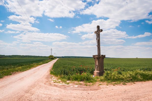 Watch out for the rural paths in Grand Bahama.