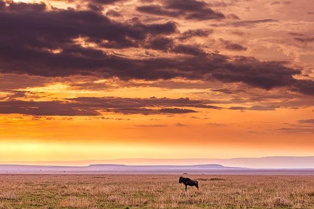 The landscape in East Africa is incredible.