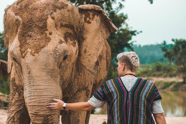 Elephant Sanctuary in Bangkok, Thailand