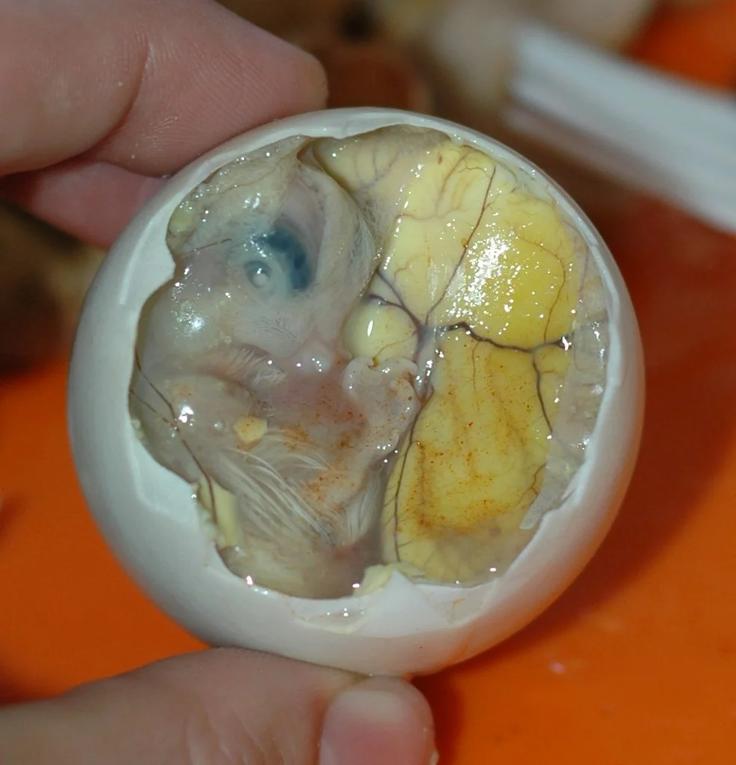 Frontal shot of a Kai Khao egg