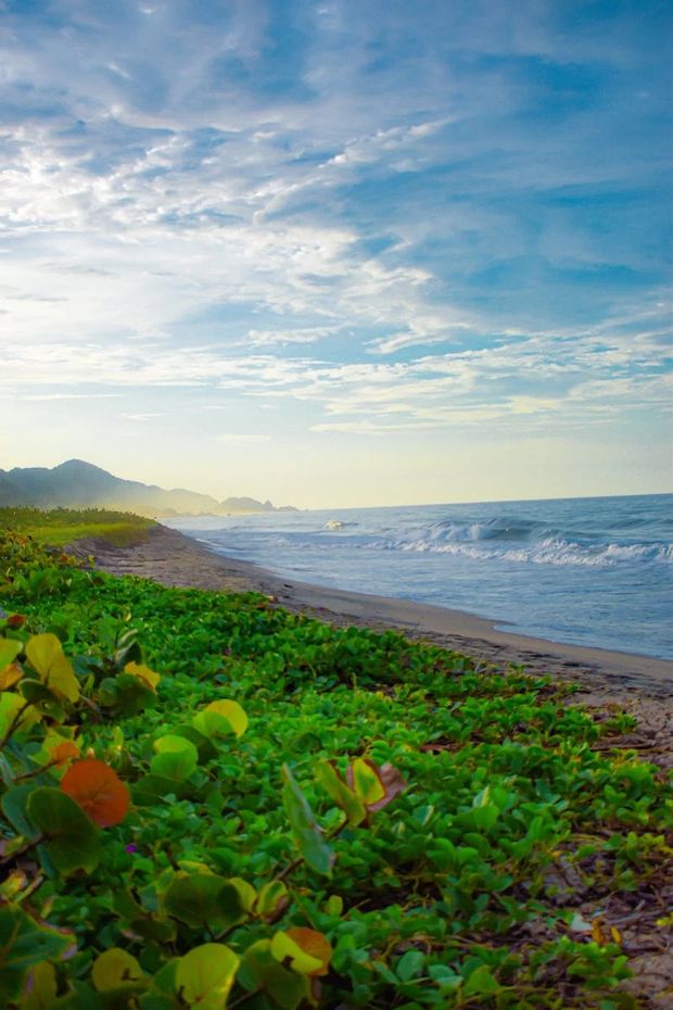 Waianae Coast is gorgeous but can be a zone for trouble as a tourist if wandering at night.