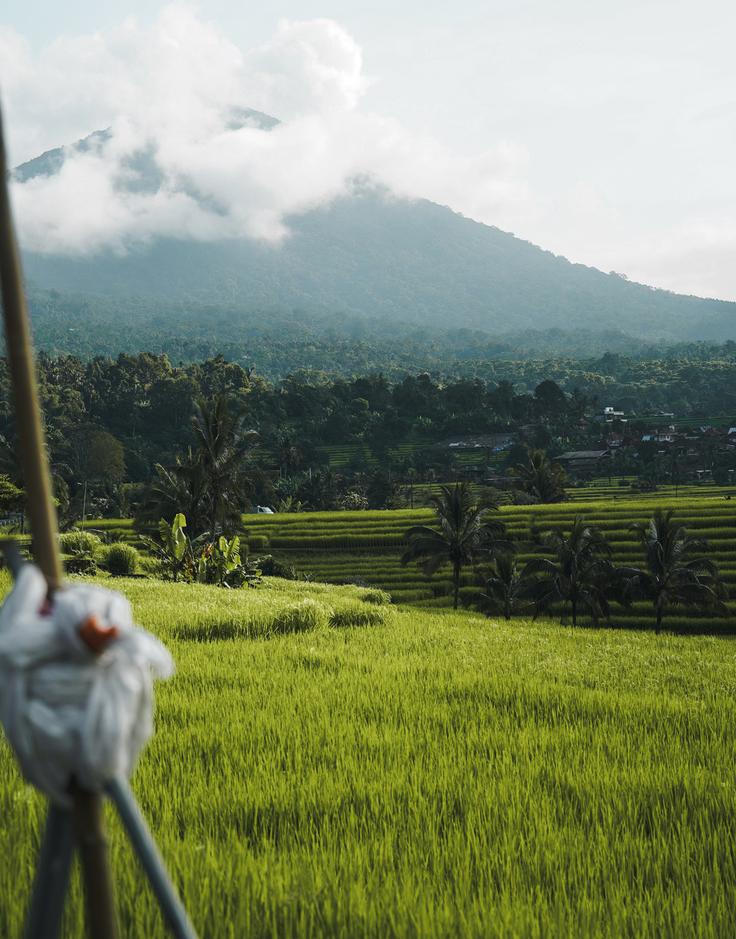 Shot of the Batukaru volcano at the background of the Jatiluwih rice terrace