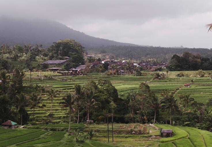 Shot of the most optimal time to visit Jatiluwih Rice Terraces