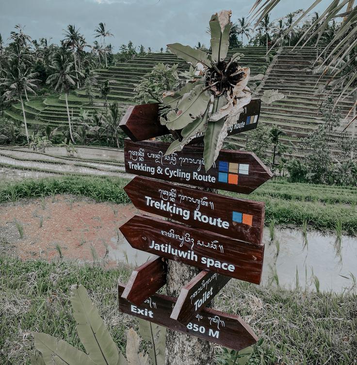 Shot of wooden indicators showing the way to get to Jatiluwih Rice Terraces