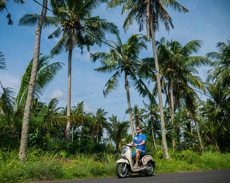 A picture of a guy on a moped through the jungle, the most popular mode of transportation in Bali