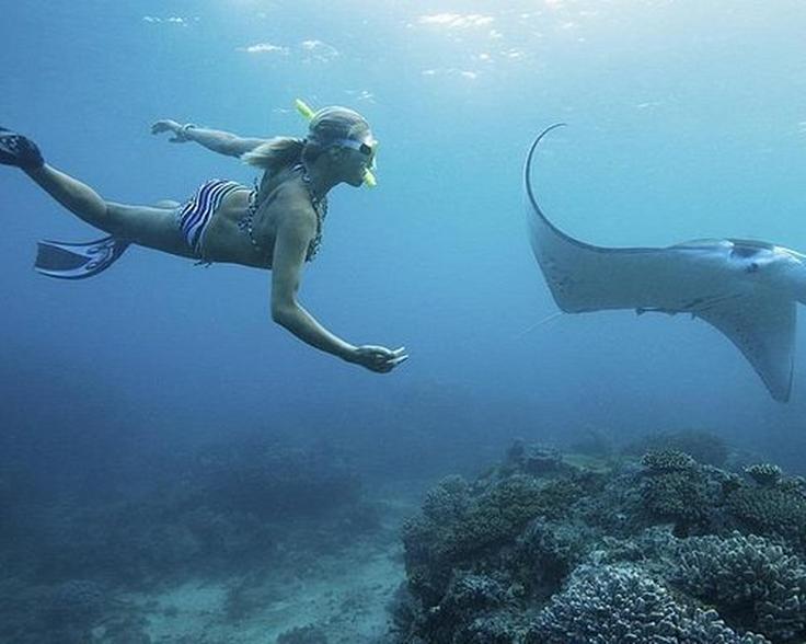 Shot of a girl snorkeling with mantas in Bali