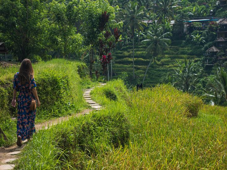 Shot of Tegalalang rice terrace