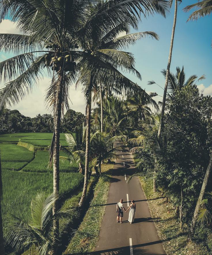 Shot of Bali's most beautiful rice terraces