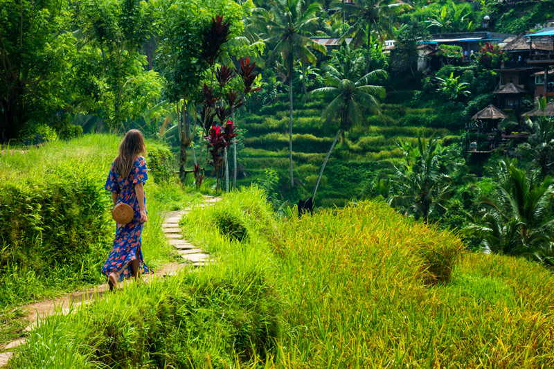 Rice terrace exploration close to Ubud