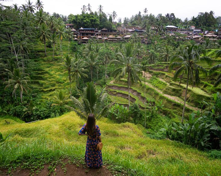 Girl walking around a rice terrace in Ubud full of green