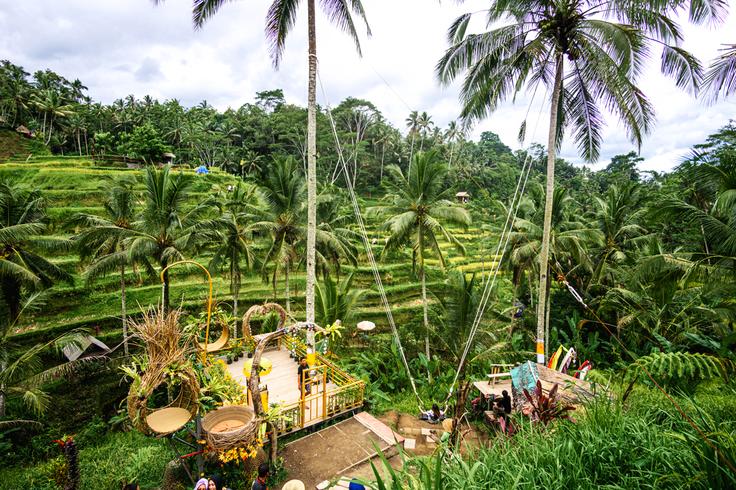 Shot of a swing from the Tegalalang rice terraces